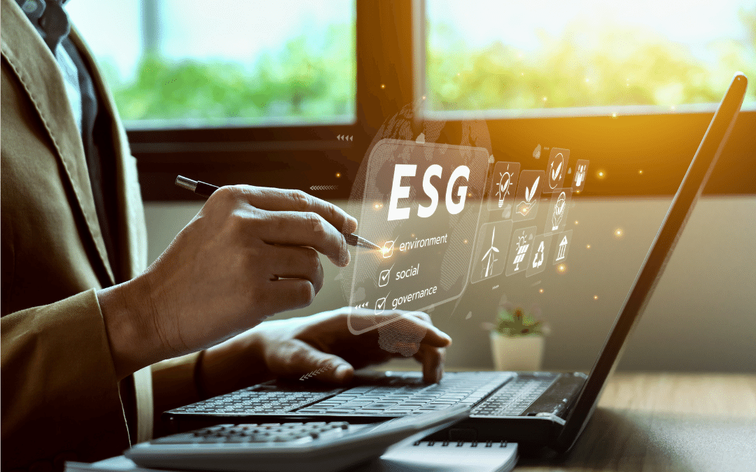 Kategori perusahaan yang di minati investor